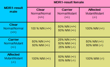 Chart explaining MDR1 DNA test results