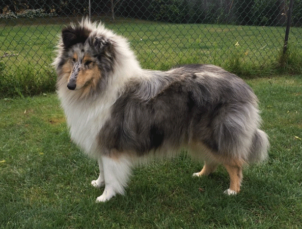 Luna at almost eight months