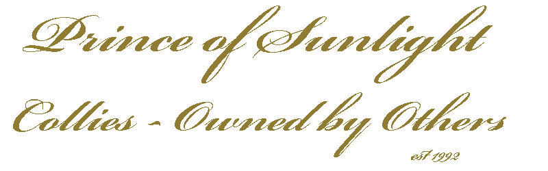 Prince of Sunlight - Owned by Others