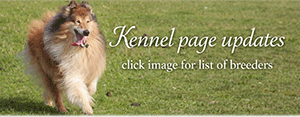Kennel page updates