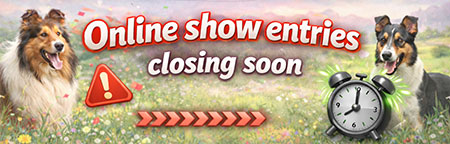 Online entries