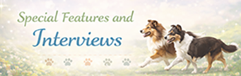 Special features and interviews